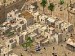 14250.jpg